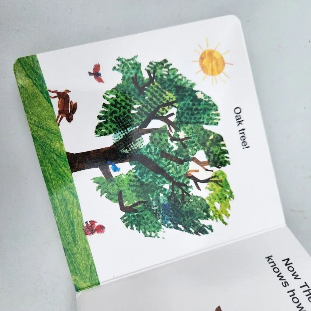How Does a Seed Sprout? Eric Carle Board Book Toddler Learning Children's books